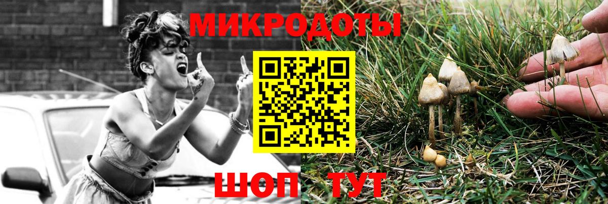 Псилоцибиновые грибы Cubensis Подольск